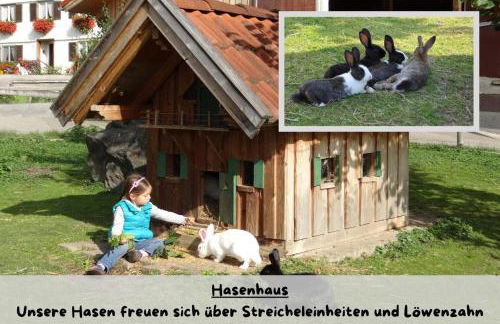 Ferienhof Matthias Herz - Foto 12