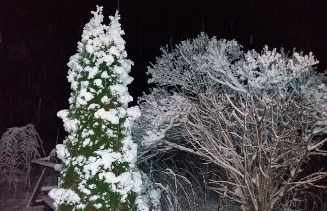 Kallioranta Cottage - Photo 31