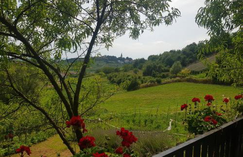 Apartman 2 - Foto 29