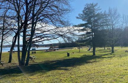 Cottage 19 Bulle Der jusque 8 Personnes vue Lac du Der - Foto 27