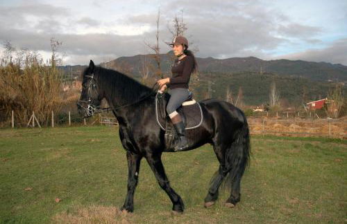 Antico Uliveto - Foto 46