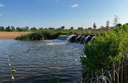 Le Nid du Teich - Photo 18