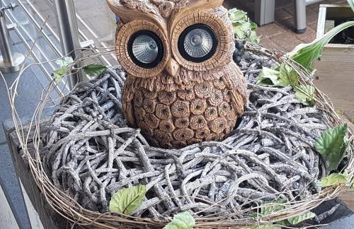 Eulennest im Souterrain - Foto 1