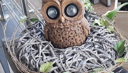 Eulennest im Souterrain - Foto 1