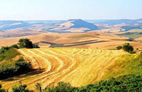 La Casetta - Foto 14