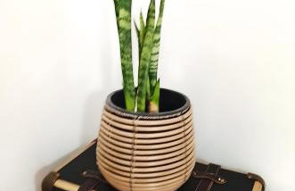 Casa Gotinha d' Água - Foto 30