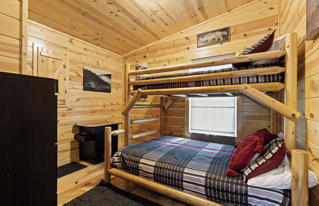 A Bearadise - Foto 3