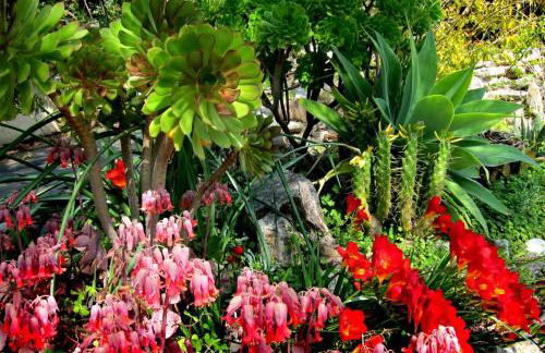 Casa Champasak - Foto 56