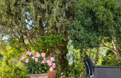 Agriturismo Palas De Serra Country Resort - Foto 60