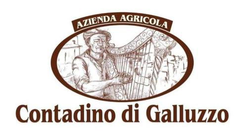 Rinaldo Holiday Home - Foto 5