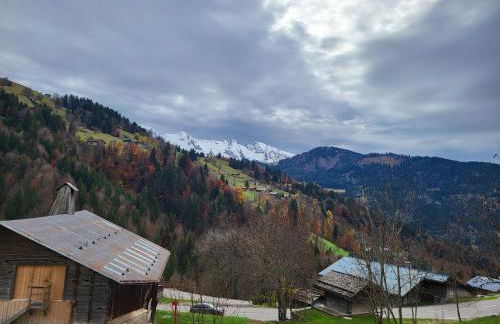 Appartement cosy face aux Aravis - Photo 20