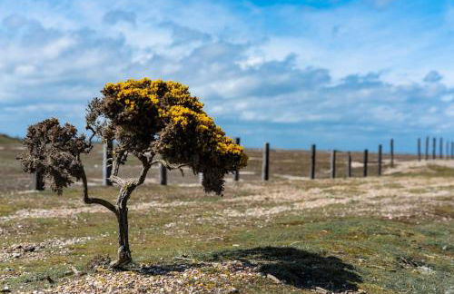 Amber Lights Coastal Getaway, Greatstone - Foto 34