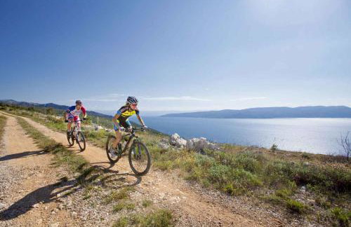 Holiday home in Labin - Istrien 8820 - Photo 20