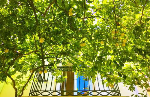 Dépendance La Casetta - Foto 10