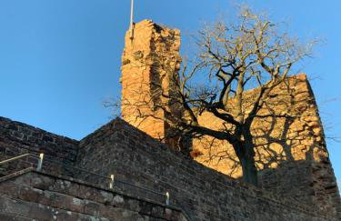 Hen-Coop Inn Appartement mit zwei Schlafzimmern & Netflix - Photo 22