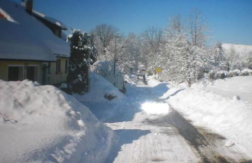 Fewo Böhmerwaldblick - Foto 19