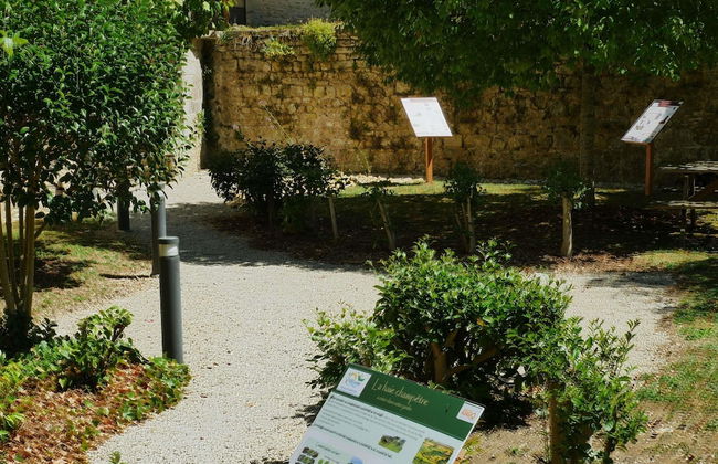 Aparthotel Adagio Access Poitiers - Foto 41