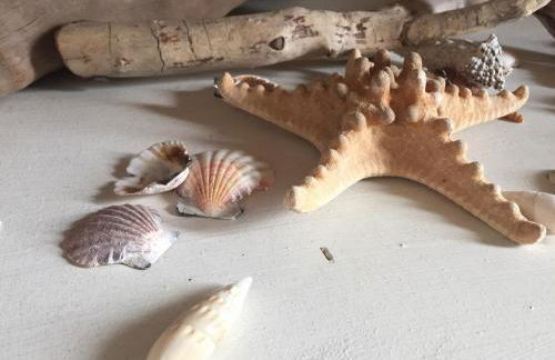 Sirena Apartment - Foto 45