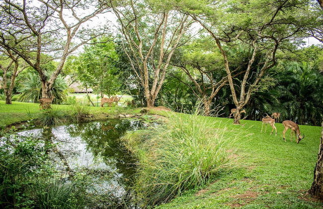 Inyamatane 227B Kruger Park Lodge - Foto 25