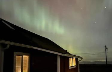 SQ The-Crab-Shack - Foto 26