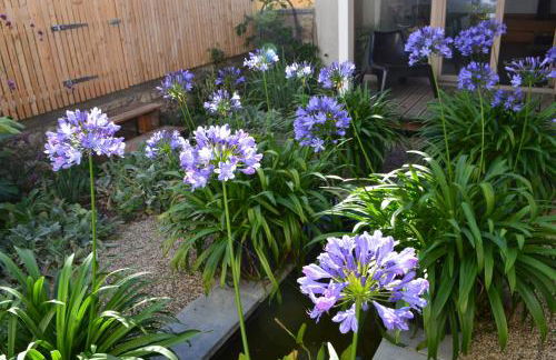 Ferienwohnung Winzerloft - Foto 26