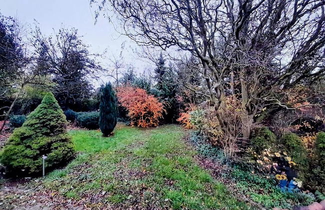 Eifel Garden Villa for Groups - Foto 38