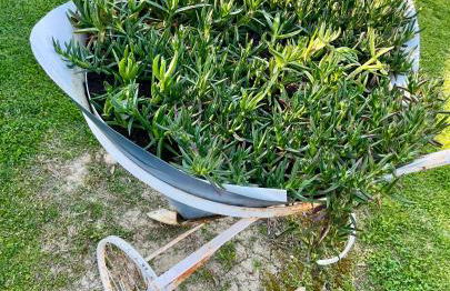 Agriturismo Valdo - Foto 44