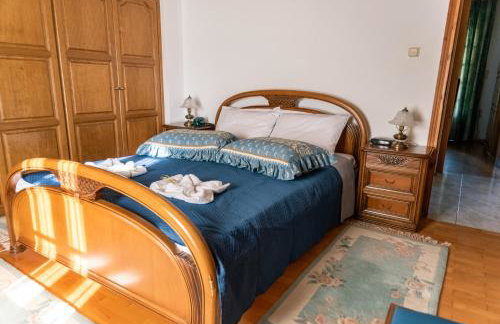 Aria Archontiko Pelion - Foto 39