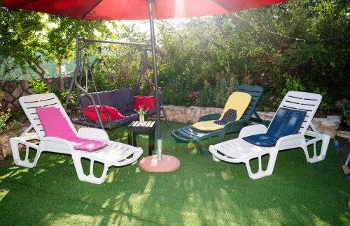 Dalmatian - Photo 41