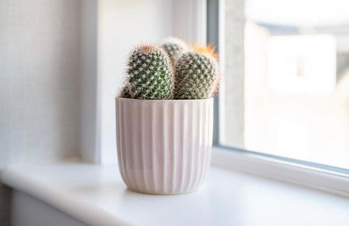 Abbey Place Apartment - Grampian Lettings - Foto 27