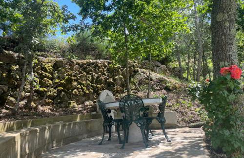 Quintinha de Pinouco - Foto 10