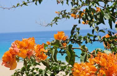 Estrella de Mar - Photo 38