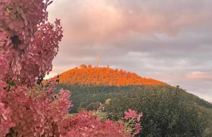 (H)Auszeit - Foto 42