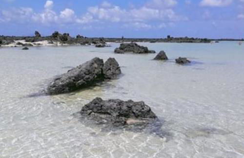 casa el lajiar - Foto 30