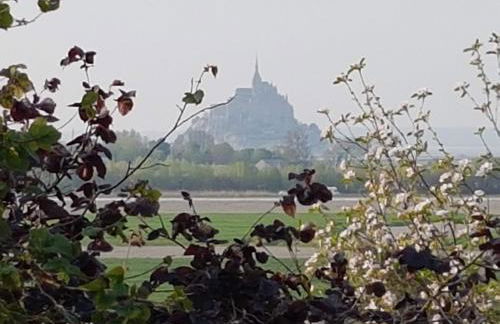 Le Goeland - Foto 12