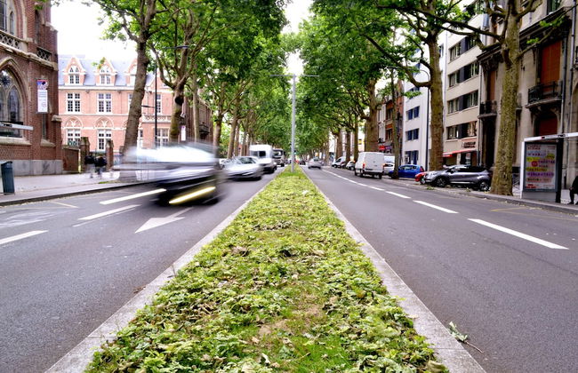 Residhotel Lille Vauban - Photo 47