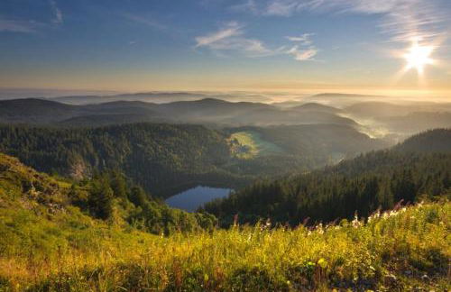 Mellex FeWo - Photo 14