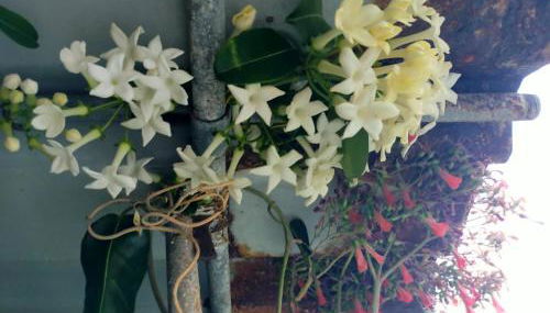 Casa Omaira y Nacho - Foto 2