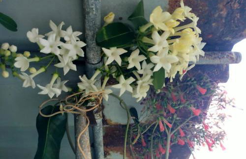 Casa Omaira y Nacho - Foto 2