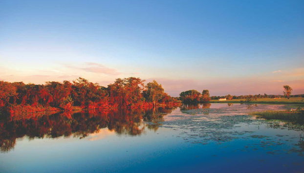 Navegando pelas águas amarelas