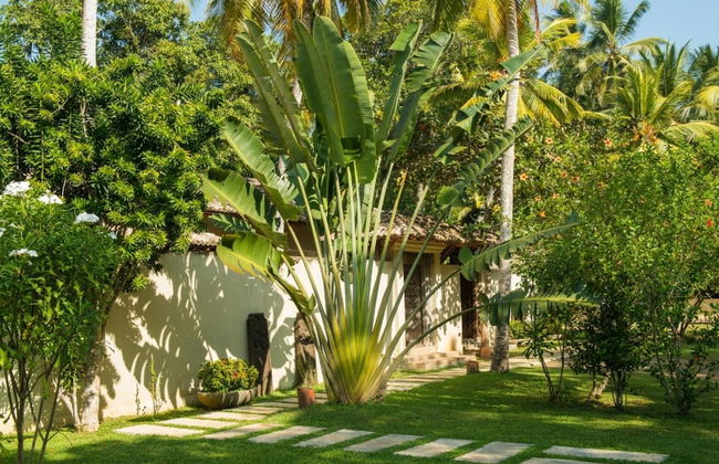 Modern Luxury 03 Bedroom Villa - Photo 29