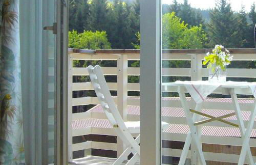 Ferienwohnungen Schönbachtal - Foto 23