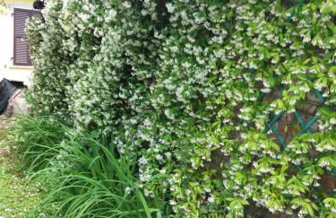 La casa del Tiglio - Foto 20