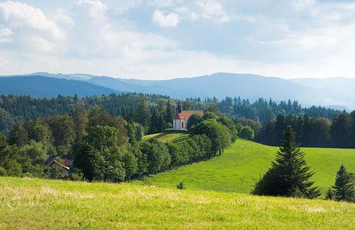 Ferienwohnung Meierhof, 38qm - Foto 13