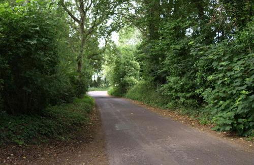 New Bury Cottage near Goodwood - Photo 23