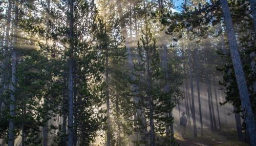 Romantic Getaway for Two in a Peaceful Suite near Coeur d'Alene, Idaho - Photo 4