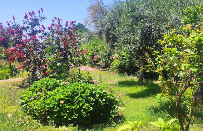 TETRAKTYS estate - Foto 18