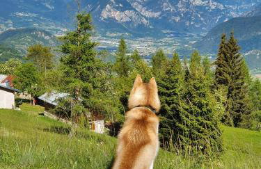 Baita casapendola - Foto 11