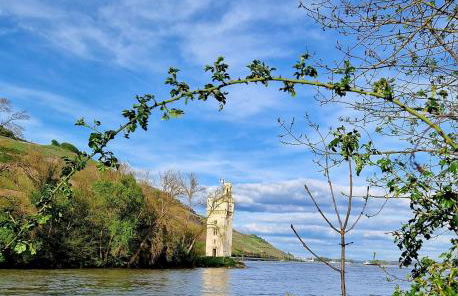 Ferienwohnung Rheinblick - Foto 14