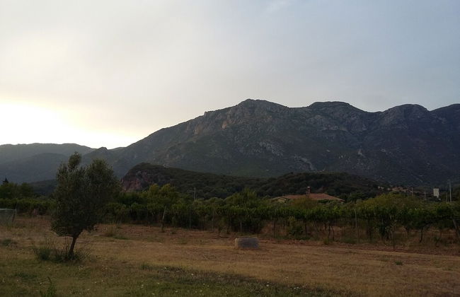 Agriturismo Sogno Latino - Photo 33